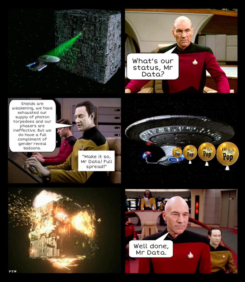 This meme is a play on the infamous "I see dead people" line from the movie "The Sixth Sense", but replaces "I see dead people" with "I see a Starfleet database". The image likely shows a Starfleet officer looking at a Starfleet database, with a caption or speech bubble saying "I see a Starfleet database" in a humorous, deadpan tone.